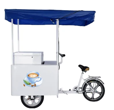 158L Motorized Steel Closed Cargo Three Wheel Bike with Solar Freezer Bicycle