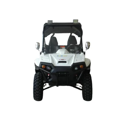 Chinese Popular ATV UTV predator Utv Side by Side Atv