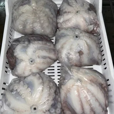 Good Price Hot Sale Product Frozen Chile Octopus