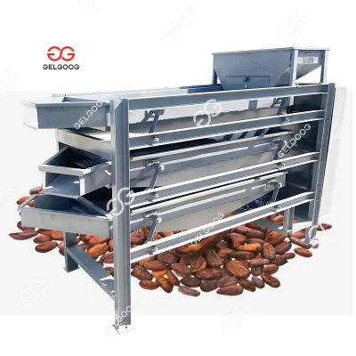 Commercial Cocoa Bean Sorting Machine
