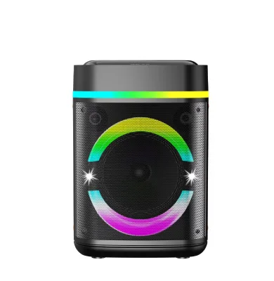 Deyin Hot Sale Subwoofer Portable Speaker 8-Inch Bass Driver Full-Range RGB Lighting Memory Card Support 40W Built-in Mic