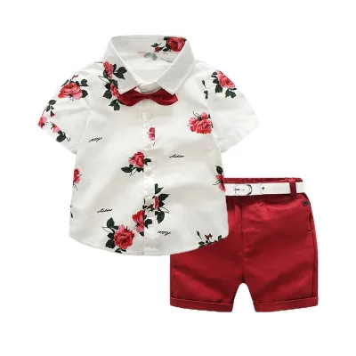 Boy Summer Polo Clothing Set Toddler Short Sleeve T-shirt + Shorts 2pcs Outfit 1-7t Baby Clothes Set 2022