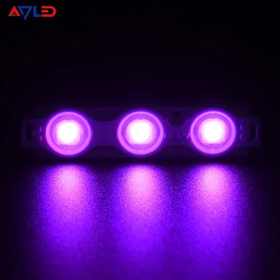 Wholesale Price IP67 DC12V RGB Addressable LED Modules smd2835 7016 rgb color 160 Degree Beam Angle