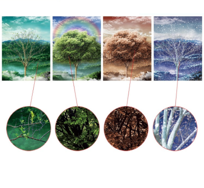 3d Four Season Picture / 3d Flip Change Effect Picture of Four Season Tree