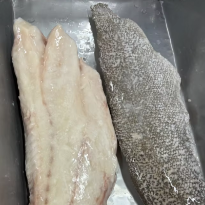 China Big Size Fresh Frozen Grouper Fish Fillet