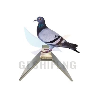 Hot Sale Pigeon Accessories Detachable Stainless Steel Pigeon Bird Perch Durable Pigeon Stand