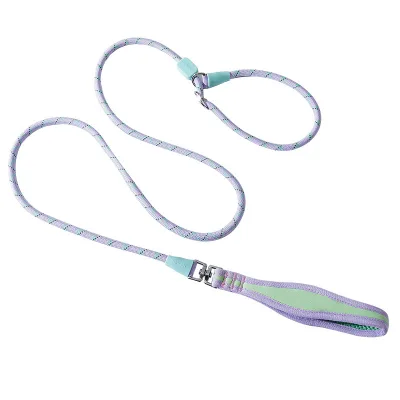 Nylon Pet Leash for Small Medium Large Dogs Color-Block Fresh Anti-Burst Dog P Rope for Outdoor