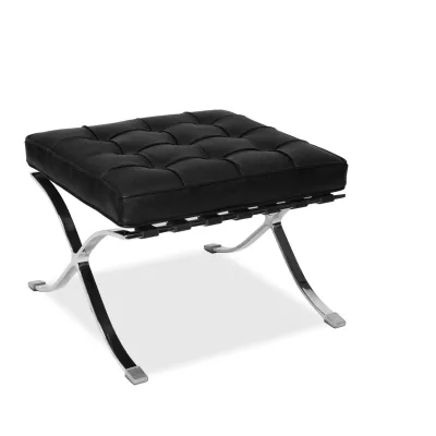 Classicalmodern stainless steel frame famous design leathersofa