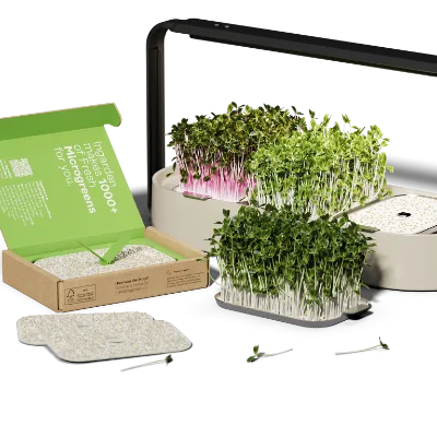A Set Full Diy Microgreen Indoor Garden Kit That ECO Friendly Kitchen Plant