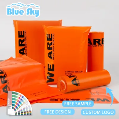 Eco-Friendly PE Shipping Bags - Recyclable & Custom Logo Printing