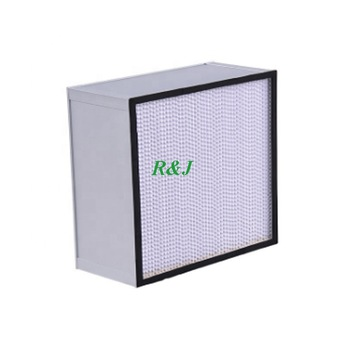 Custom Made 99.99% High Efficiency H14 HEPA Filter Mushrooms 320x320x220 Galvanized Air Filter Element Biosafe Cabin LAF