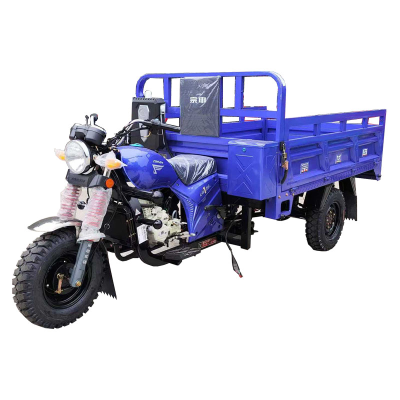 Carry Cargo Motor Tricycle 200cc Water Cooling Tricycle Motorized Tricycles Trike Motorcycle Cycle