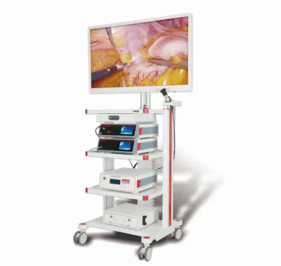 HD Endoscopy Monitor Medical HD Endoscope Camera Set Electric Laparoscopy Instruments Plastic Ultrasonic Electronic Equipment