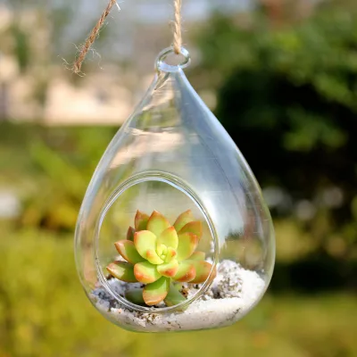 Hanging Glass Vase Succulent Plant Vase Creative Hydroponic Flower Container Home Decoration Handicraft