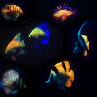 Soft Silicone Aquarium Fish Decoration, Fake Artificial Fish Tank Ornament, Safe Flexible Colorful Mini Fish Decor