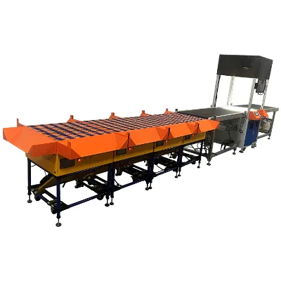 DWS Modular Wheel Sorter Logistics Sorting Conveyor System Efficient Wheel Conveyor for Sorter Logistics