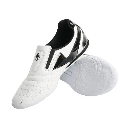 Karate Training Equipment Taekwondo Shoes One Piece Taekwondo Shoes Taekwondo Shoes Kwon