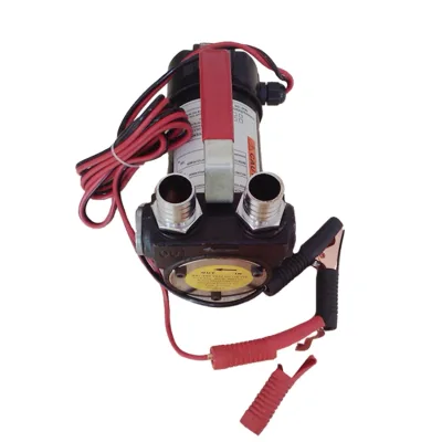 Durable 220V Diesel Transfer Pump/ Fuel Pump with Flow Rate 20L/min