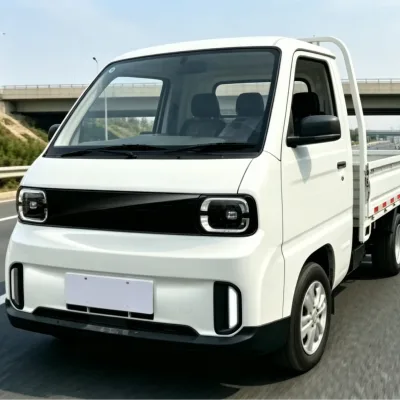 Pure Electric Economy Pickup Cargo Mini Truck with LHD/RHD Optional 201-300km Range 50-100KW Power 30-50kWh Battery 90km/h