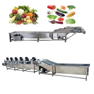 Mushroom Cleaning Machine Turmeric Washing Machine Fruit Washing Machine
