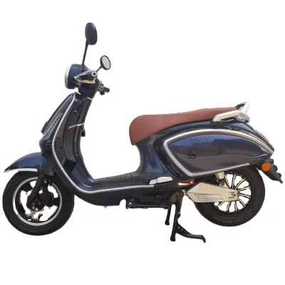 E-Biene EEC L1e Street Scooter Electric DIY Color Warehouse in EU 60V3000W 30Ah 50Ah Long Range