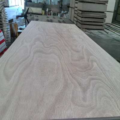 Wholesale Poplar Okoume for Board with WBP Glue Eco-Friendly E1 Formaldehyde Indoor Use for Sale