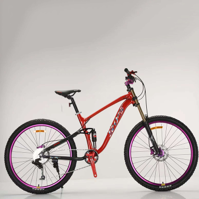 In Cheapest 21 Speed China Cycle for Men with Gear and Disk Brake 21 Gear Mountain Bike Cycle for Man