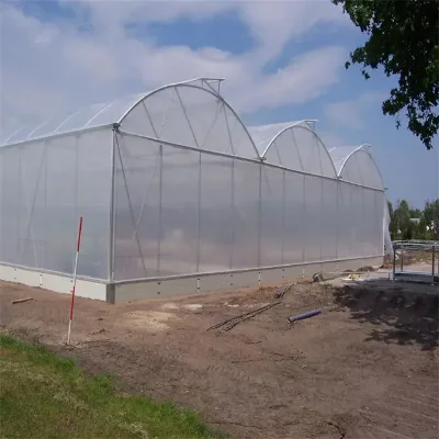Low Price Steel Structure Greenhouses Plastic Film Agriculture Greenhouse for Wholesale