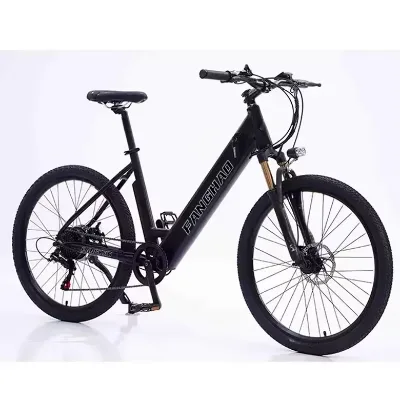 Aluminum Alloy Electric City Bicycle Electric City bicycle 250W Brushless Motor 48V Lithium Battery Hydraulic Disc Brakes