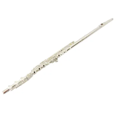 C Tone 17 Keys Professional Wood Flute Stand Flauta Pipe Musical Instrument with Pads and Bag Sale