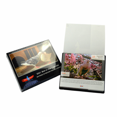 Customized Coloring 365 Days Tear off Planner Calendar Printing Calendar Printing 2025 High Quality