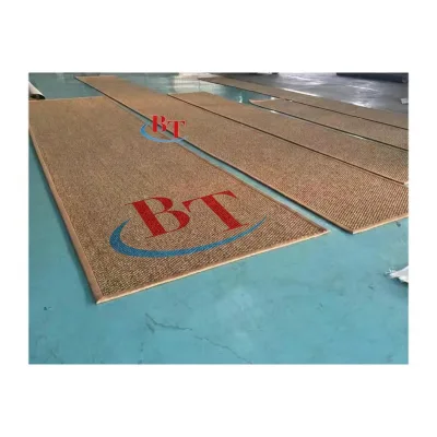 Elegant Oriental 3D Cinema Ice Velvet Sisal Square Rug 200cm X 300cm Embroidered Customizable Size Washable Non-Slip for