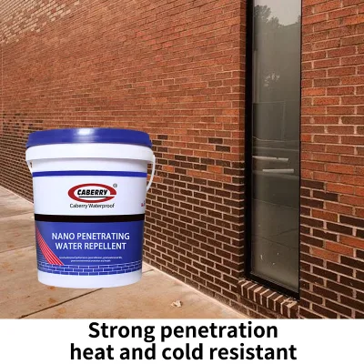 Nano Concentrated Liquid Coating Waterproof Penetrating Agent for Walls Roof Hydrophobic Waterproofing Materials