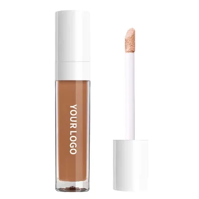 Wholesale Customization Private Label Contour Light Concealer Pigment Long Lasting Makeup Concealer Foundation