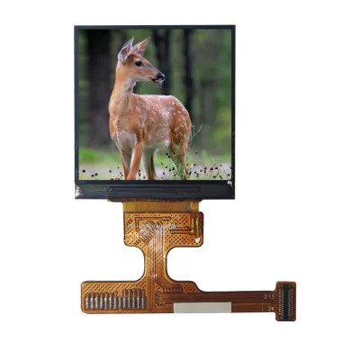 Provide Samples TFT Panel 1.4 Inch St7789 Controller Lcd Display