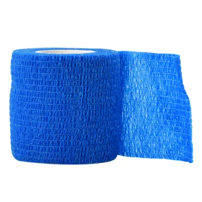 Wholesale Fashionable Sports Bandage Elastic for Ankle Wrist Backache Human Pet
