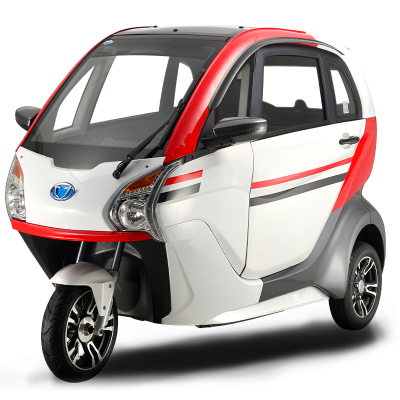 Electric Car Without Driving Licence