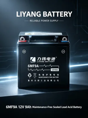LIYON New 12V 9Ah Motorcycle Starter Battery 6MF9A AGM Maintenance-Free Lead Acid 1 Year Warranty Polaris Yamaha China