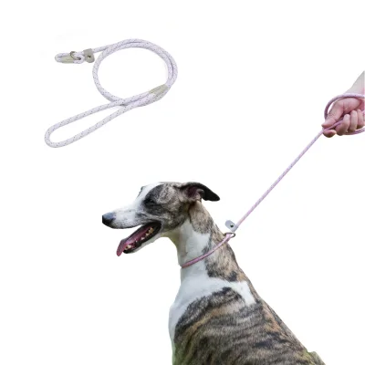 Minimalist Nylon P Chain Dog Leash Slip Lead for Training and Daily Walking Anti Escape No Harness Needed