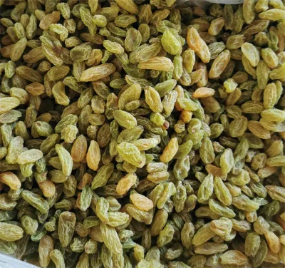 Wholesale Chinese Green Raisins Emerald Big Size High Quality and Low Price for Snack Baking Dried Grape