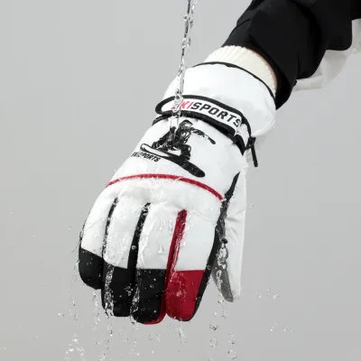 OEM ODM Customized Waterproof Windproof for Men Motorcycle Driving and Outdoor Winter Ski Gloves