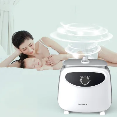 New Arrival Portable Electric Ironing Clothes Dryer Steamer Aluminium Folding Design Automatic Circulating Hot Plastic 3 Hours