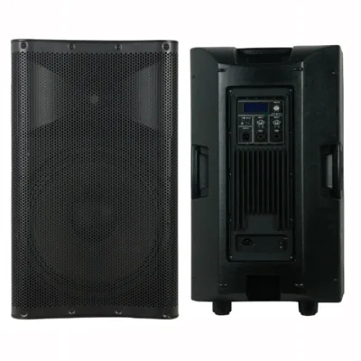 Active 15" 2-Way PA Speaker with DSP and Bluetooth For live and playback applications