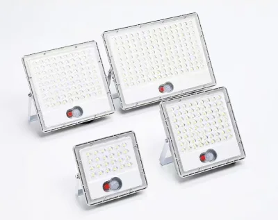 Factory Wholesale Monocrystalline Solar Panel Flood Light Brand New High Capacity Battery Economical Solar Flood Light