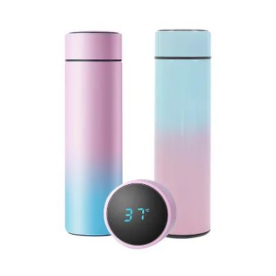 Wholesale Gradient Colorful Double Wall Stainless Steel Smart Water Bottle