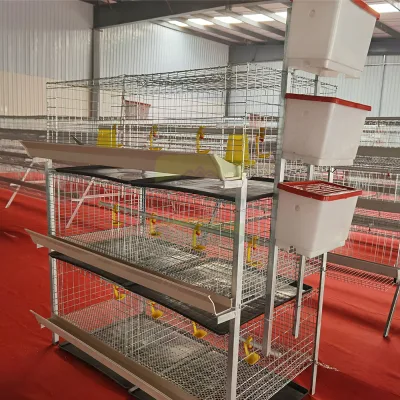 Vertical Broiler Cage 3 Tier 6 Position Galvanized Steel Pull Out Manure Tray Poultry Farm