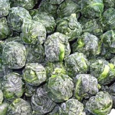 BRC Certified IQF Frozen Spinach Ball