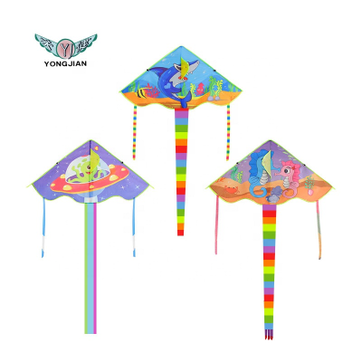 Durable Using Kites Flying Promotional Kite Delta Kite