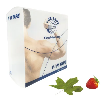 Plastic Box PP Box Durable