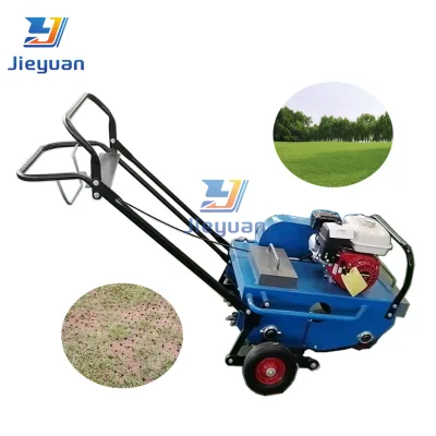 Hot Selling Gasoline Engine Lawn Punching Machine Grass Lawn Hole Drilling Machine